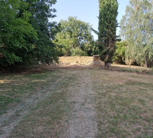 -3556320966722738592